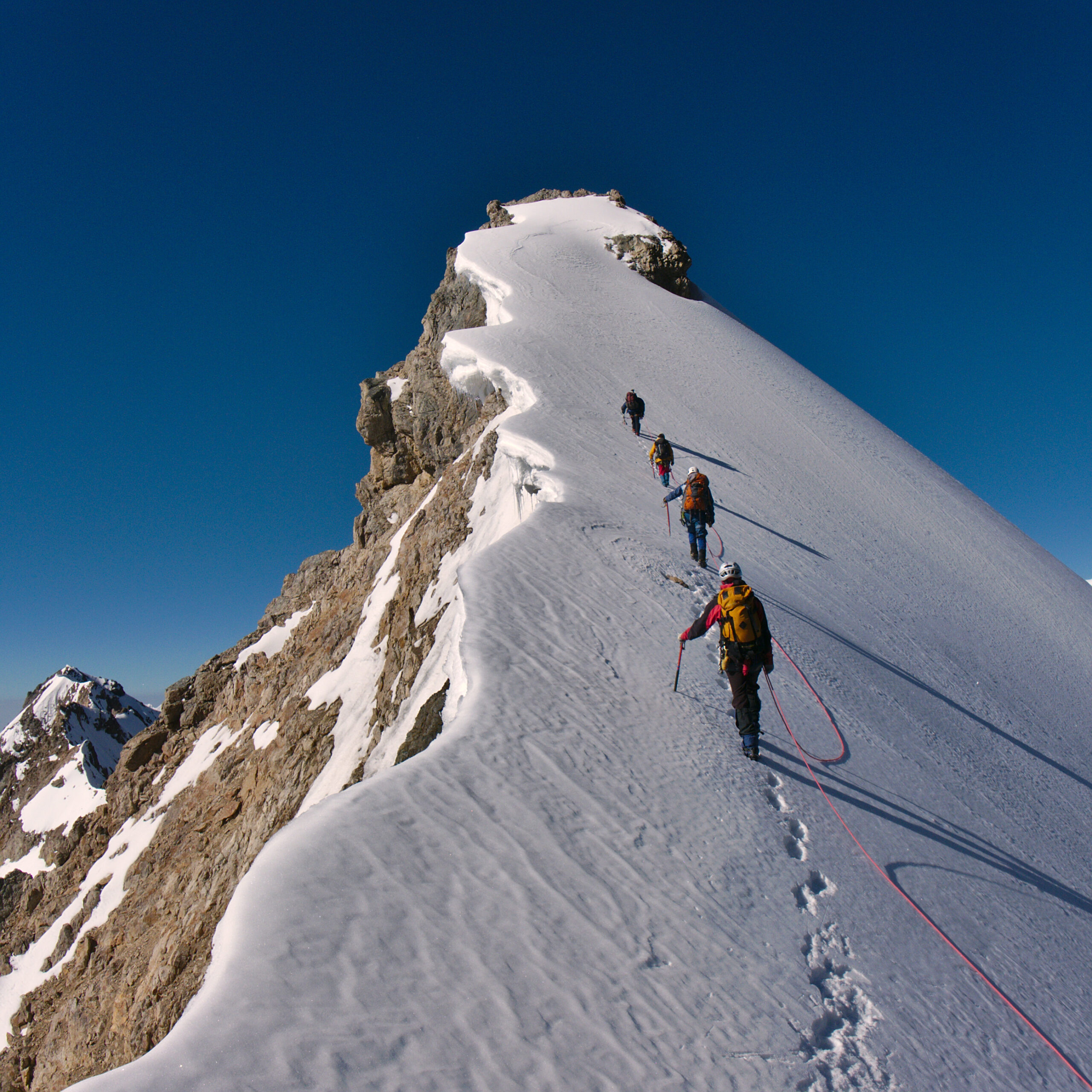 Tied,Climbers,Climbing,Mountain,With,Snow,Field,Tied,With,A