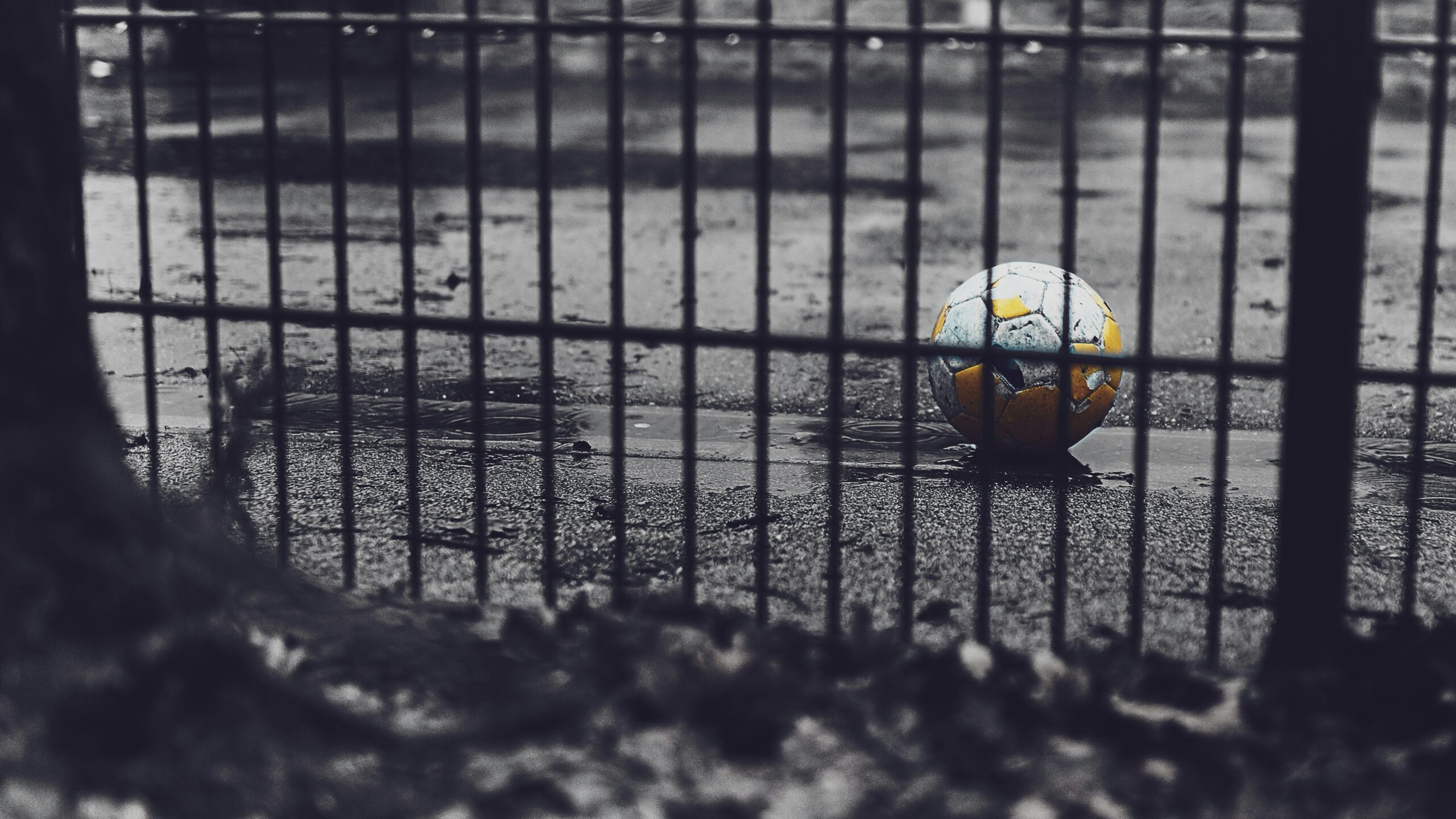 bruno-kelzer-AAXOAXYtik8-unsplash