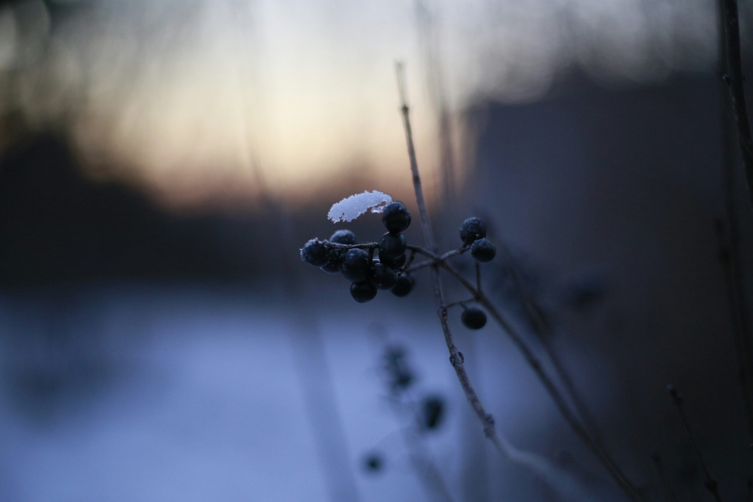 iza-gawrych-x_4IoG7Kp7Q-unsplash